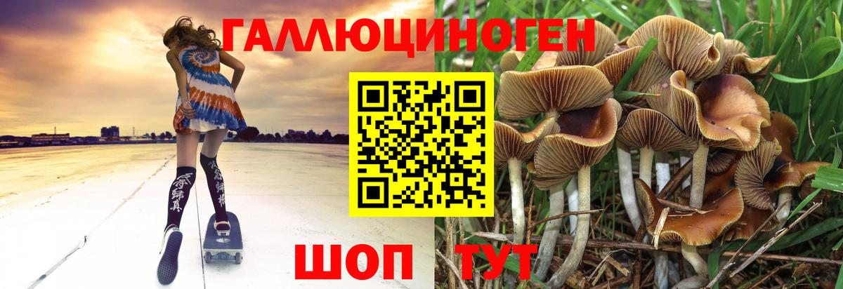 Псилоцибиновые грибы ЛСД Стрежевой