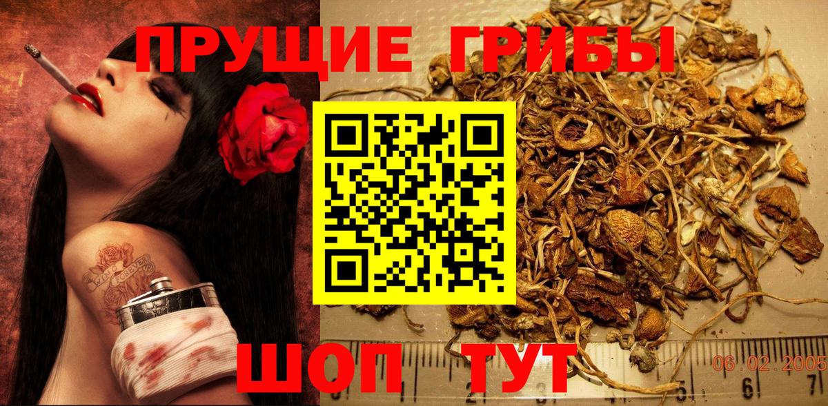 Галлюциногенные грибы GOLDEN TEACHER  Вход с VPN  Стрежевой  Псилоцибиновые грибы MAGIC MUSHROOMS 